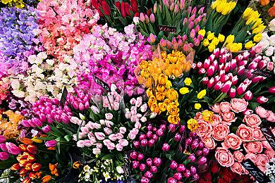 究极“缝合怪”到底怎么火的！！！